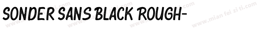 Sonder Sans Black Rough字体转换
